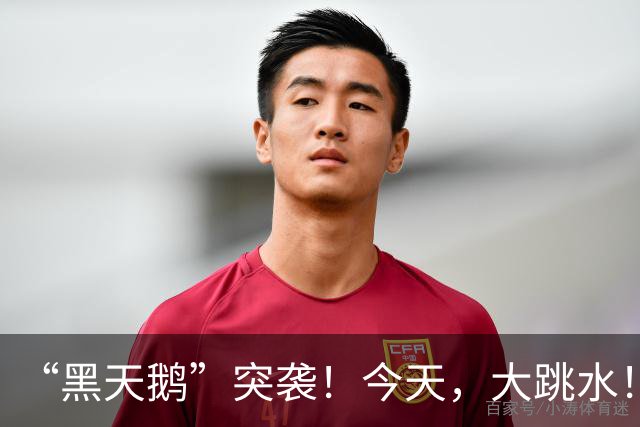 “黑天鹅”突袭！今天，大跳水！