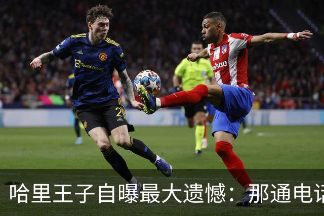 哈里王子自曝最大遗憾：那通电话我不知是最后一次