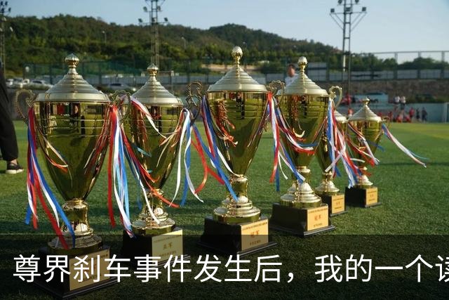 尊界刹车事件发生后，我的一个读者群被人举报了