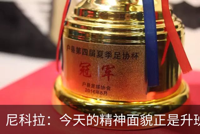 尼科拉：今天的精神面貌正是升班马想要留在这个级别必须具备
