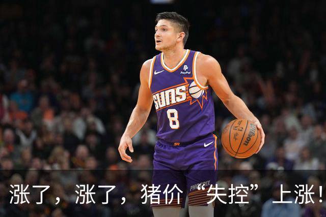 涨了，涨了，猪价“失控”上涨！附：10月19日猪价