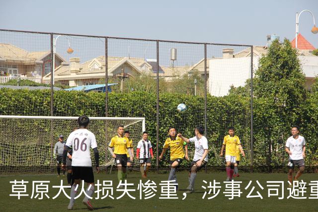 草原大火损失惨重，涉事公司避重就轻，蒙方怒了：有必要向日企索赔