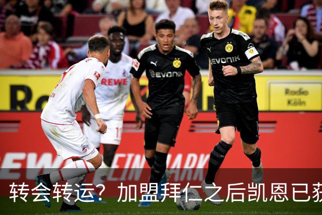 转会=转运？加盟拜仁之后凯恩已获5个冠军和1个金球奖