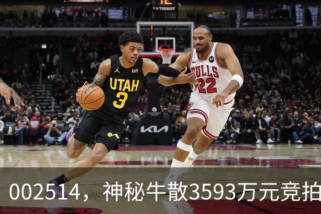 002514，神秘牛散3593万元竞拍股权，将成第三大股东