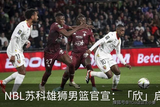 NBL苏科雄狮男篮官宣：「欣」启新章，欢迎王欣瑞加盟